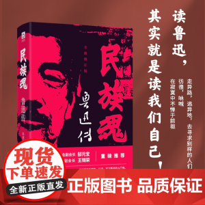 民族魂:鲁迅传 全面呈现鲁迅与冯雪峰 瞿秋白的文坛往事和深厚友谊 读鲁迅其实就是读我们自己 现代文学励志书籍 名人人物传