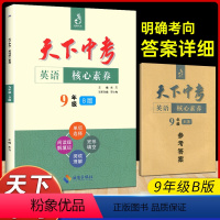 英语核心素养9年级B版 九年级 [正版]天下中考英语核心素养提升九年级B版 武汉出版社初中9年级英语专项训练完形填空阅读