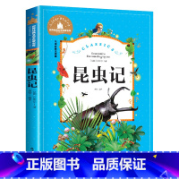 彩印注音版 昆虫记 [正版]昆虫记 儿童彩图注音版 世界经典文学 儿童文学6-12岁 少儿图书 寒假课外书目 亲子共读