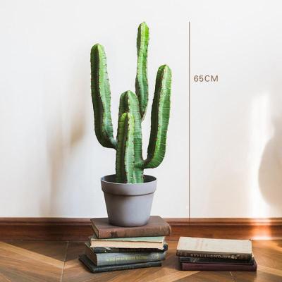 家柏饰(CORATED)仿真大型仙人掌盆景仙人柱墨西哥天轮柱装饰摆件落地 Hylocereinae龙神木65cm