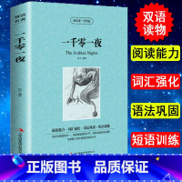 [正版] 读名著学英语 一千零一夜 原版 英语版+中文版 中英文对照 英汉互译 双语读物 外语名著书籍 中学生 初中高中