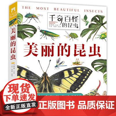 美丽的昆虫 精装硬壳 翻阅生命奥秘千奇百怪的昆虫 孩子爱不释手的昆虫翻翻书 神奇植物立体书 儿童3d立体书 [出版