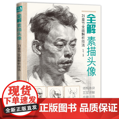经典全集 全解素描头像人物临摹书结构体块深度分析教程对画写生sh