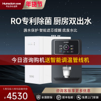 汉斯顿净水器家用直饮0阻垢剂ro反渗透纯水机厨房净水机S1(S90)
