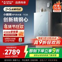 史密斯佳尼特[小精钢TCS5]13升精钢燃气热水器 国家补贴 JSQ26-TCS5 安全守护 持久恒温大水量 新品