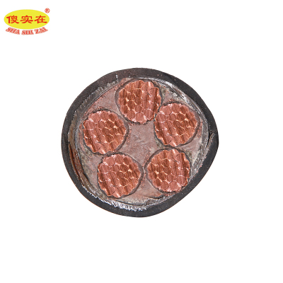 傻实在 电缆 国标全项保检 YJV22 5*50mm² 米