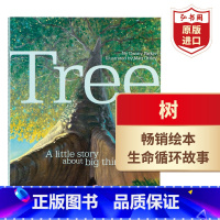 [正版]树 一个关于生命周期的故事 英文原版 Tree A Little Story About Big Things