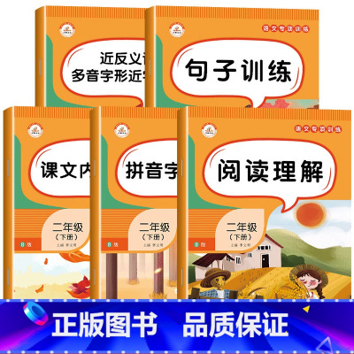 [全套5册]语文专项训练 二年级下 [正版]二年级下册看拼音写词语生字注音专项练习人教版小学2年级下语文字词句篇句子同步