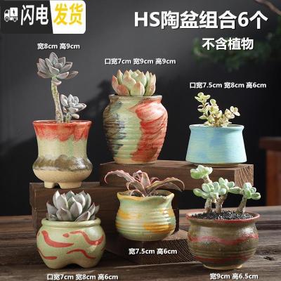 三维工匠多肉花盆陶瓷老桩创意个性粗陶透气肉肉植物大口径小花盆 涂鸦-HS陶盆组合6个 中等花盆容器