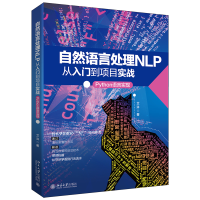 音像自然语言处理NLP从入门到项目实战:Python语言实现艾浒