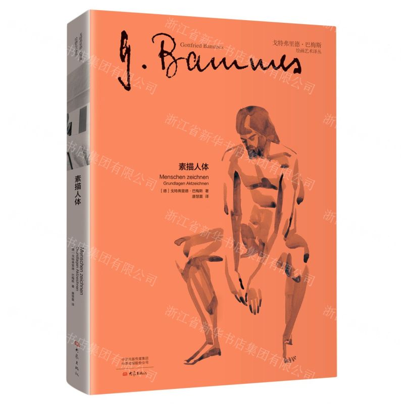 [N]素描人体(精)/戈特弗里德·巴梅斯绘画艺术译丛-9787571108151
