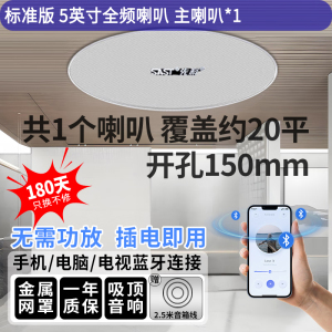 先科(SAST)G3 无线蓝牙吸顶音响 吊顶天花板公共广播喇叭音箱(单主机)