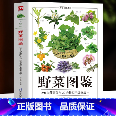 野菜图鉴 [正版]野菜图鉴 250种野菜与20余种野果速查速认 野菜大全书 野外认采中草药野菜图鉴 植物花草识别图解饮食