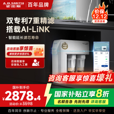 史密斯净水器家用整机保5年 3:1高水效专利MAX3.0反渗透滤芯2升/分钟厨下式直饮净水机800加仑升级款