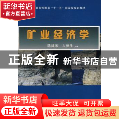 正版 矿业经济学 陈建宏 古德生 中南大学出版社 9787811055788