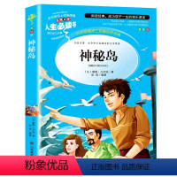 神秘岛 [正版]金银岛书 史蒂文森原著 世界经典名著小学生三四五六年级必读课外阅读书籍故事人民青少年儿童版文学读物山东美