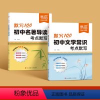 2本全套[文学常识+名著导读]考点默写 初中通用 [正版]初中必背文学文化常识考点默写初中生中考复习教辅资料思维导图思维