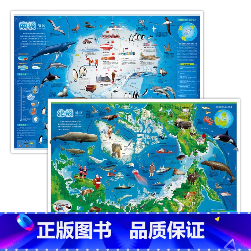 [正版]全新版儿童房挂图系列南极地区北极地区南极北极地图覆膜防水中国知识地图少儿地图装饰贴画儿童房间贴图初中小学生大小尺