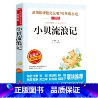 [正版]阅读 小贝流浪记孙幼军著 无障碍精读版青少版名著 课外书10-15岁小学生五六年级bi读儿童文学书籍 天地出