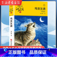 [正版]书店残狼灰满 升级版 动物小说大王沈石溪品藏书系 小学三四五六年级课外阅读书籍动物小说 浙江少年儿童出版社