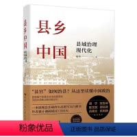 [正版] 县乡中国 县域治理现代化 杨华 著 提高工作能力县乡治理逻辑与实践 乡土中国江村经济基层干部阅读乡镇基层工作