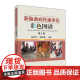 新编禽病快速诊治彩色图谱第二版 孙桂芹主编9787565522918【中国农业大学出版社版编2