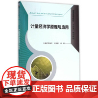 计量经济学原理与应用