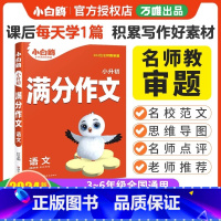 语文+数学+英语[基础知识] 小学升初中 [正版]小白鸥2024小升初真题基础知识专项训练语文数学英语 万唯小白鸥满分作