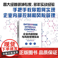 企业内部控制与风险管理实战 搭建内部控制与风险管理体系,为企业的经营发展保驾护航