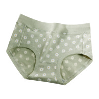 纯棉女士内裤印花中腰内裤女纯棉印花可爱三角裤厂家