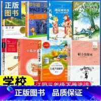 [选读]三年级下册选读[8册] [正版]江阴必读书三年级下册4本 绘本犟龟亲爱的汉修先生伊索寓言湖南文艺 故事里的智慧-