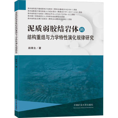 泥质弱胶结岩体的结构重组与力学特性演化规律研究