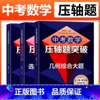 选择填空+坐标系内+几何综合大题(全3册) [正版]全3册新版中考数学压轴题突破 选择填空压轴小题+坐标系内的几何代数+