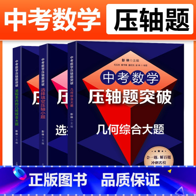 选择填空+坐标系内+几何综合大题(全3册) [正版]全3册新版中考数学压轴题突破 选择填空压轴小题+坐标系内的几何代数+