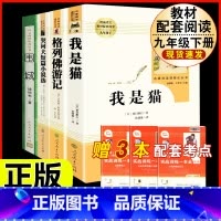 [人教版 4册]我是猫+格列佛+契诃夫短篇小说选(含围城.人文) [正版]九年级下册必读名著我是猫契诃夫短篇小说选格列佛