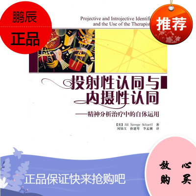 万千心理-投射性认同与内摄性认同:精神分析治疗中的自体运用万千心理沙夫著闻锦玉投射性认同与内