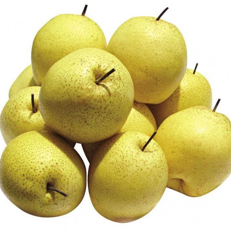 我们为您提供四川雪梨的优质评价,包括四川雪梨商品评价,晒单,百万