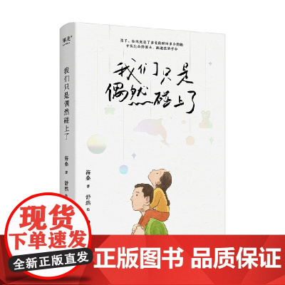 我们只是偶然碰上了 海桑 著 文学