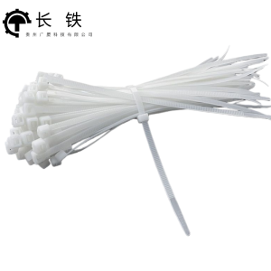 长铁 尼龙扎带 4.8mm*120mm 包