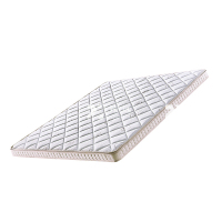 臻远 ZY3120205 棕垫护脊3E椰棕床垫 1000*2000*150 1张