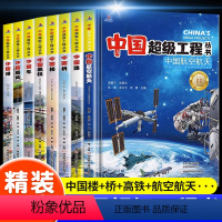 全8册:中国超级工程系列丛书一站式备齐 [正版]可选单本中国超级工程丛书 套5-8册 中国车+盾构+港+高铁+航空航天+