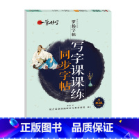 写字课课练同步字帖 8年级下册 [正版]罗扬字帖课堂笔记天天练练字帖人教版同步字帖一课一练硬笔钢笔临摹一二三四五六七八年