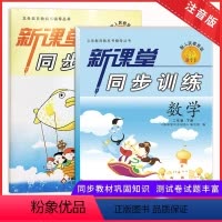 语文+数学 小学二年级 [正版]2024二年级下册同步训练语文数学课堂春季同步辅导练习册人教版基