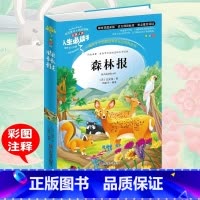 [正版]满49森林报 五年级必读春夏秋冬四季全集小学生青少年版三四五六年级课外必读书3-4-5-6年级课外阅读儿童文学世
