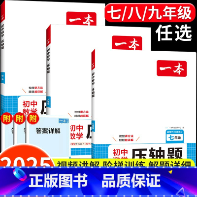 初中数学压轴题 九年级/初中三年级 [正版]2025新初中数学压轴题七年级初一必刷题上册人教版八年级九年级中考计算题母题