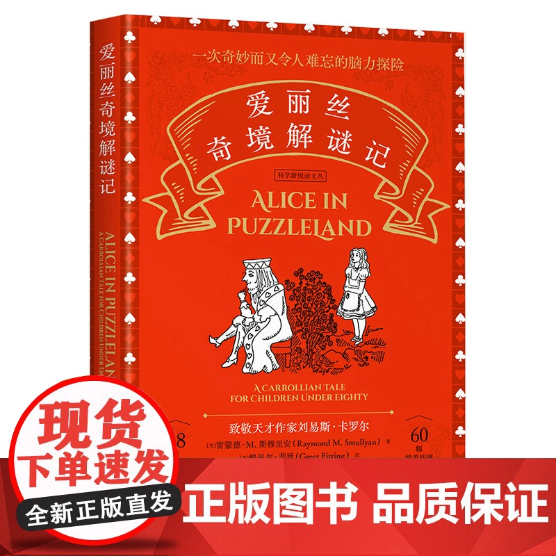 爱丽丝奇境解谜记 中小学课外读物 益智图书 烧脑解谜书籍 爱丽丝漫游奇境 推理故事书 专注力训练 锻炼孩子的逻辑思维能力