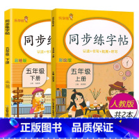 上下册2本:五年级语文 [正版]小学生练字帖每日一练一年级上册二年级下册三四五六年级语文同步练字帖人教版 控笔训练硬笔书