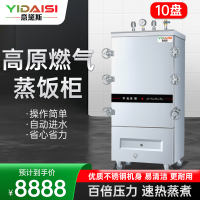 意黛斯(YIDAISI)高原燃气蒸柜YDS-GYRX-10商用蒸饭柜食堂厨房电蒸箱蒸包炉燃气蒸饭车10盘 天然气/液化气