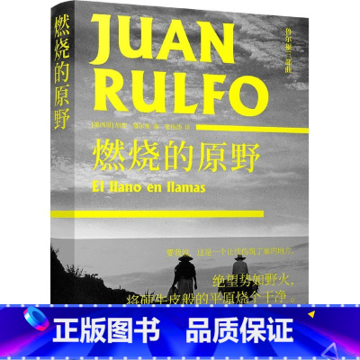 [正版]燃烧的原野 精装版 鲁尔福三部曲 墨西哥胡安·鲁尔福 译林出版社 外国文学-各国文学 978754478425