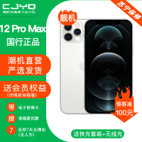 [99新]Apple iPhone 12ProMax 银色 256GB 二手苹果12PM 全网通5G 国行正品 手机